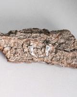 AROS PICANTES CHICOS